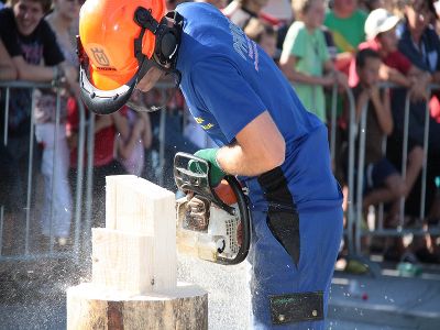 Tag der Einsatzorganisationen in Vorau