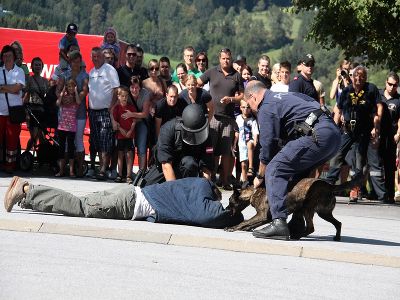 Tag der Einsatzorganisationen in Vorau